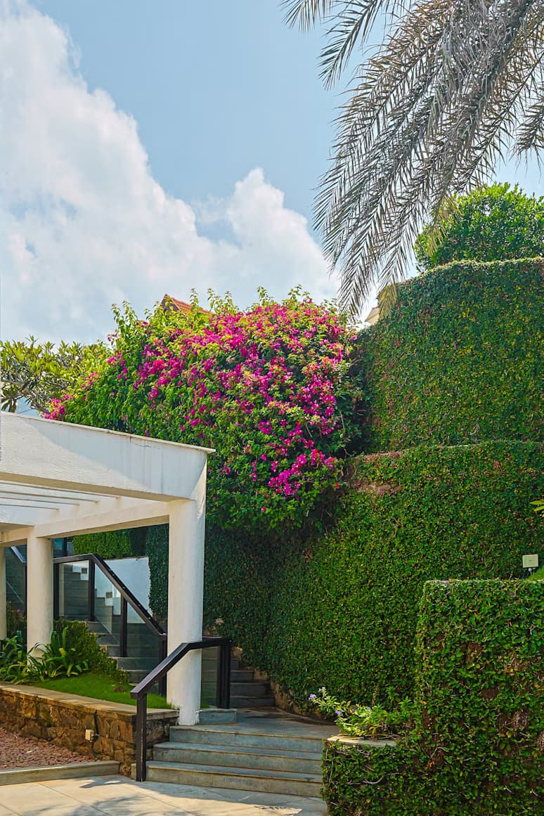 Landscaping sample image